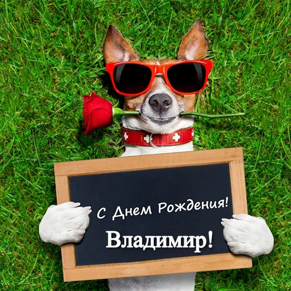 Открытка открытки с именем Владимир - Открытка с днем рождения: милый щенок с табличкой | Красивая открытка #89