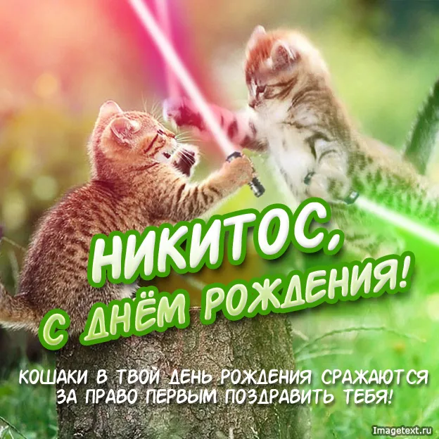 Открытка Открытки с именем Никита - Две кошки обнимаются с днем рождения | Красивая открытка #207