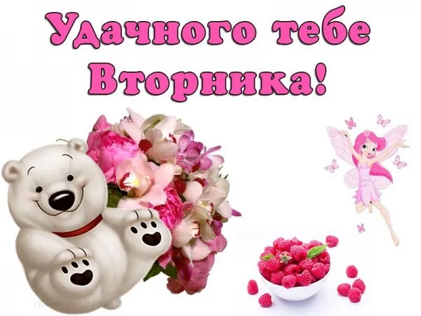 Открытка Открытки на вторник - Открытка с мишкой, цветами и клубникой | Красивая открытка #181