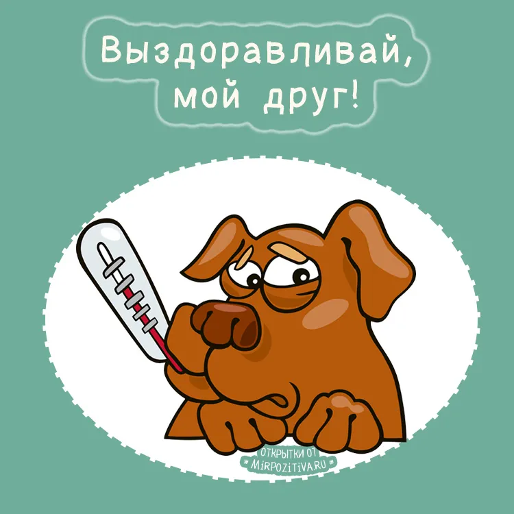 Открытка Выздоравливай - Открытка с щенком и градусником | Красивая открытка #113