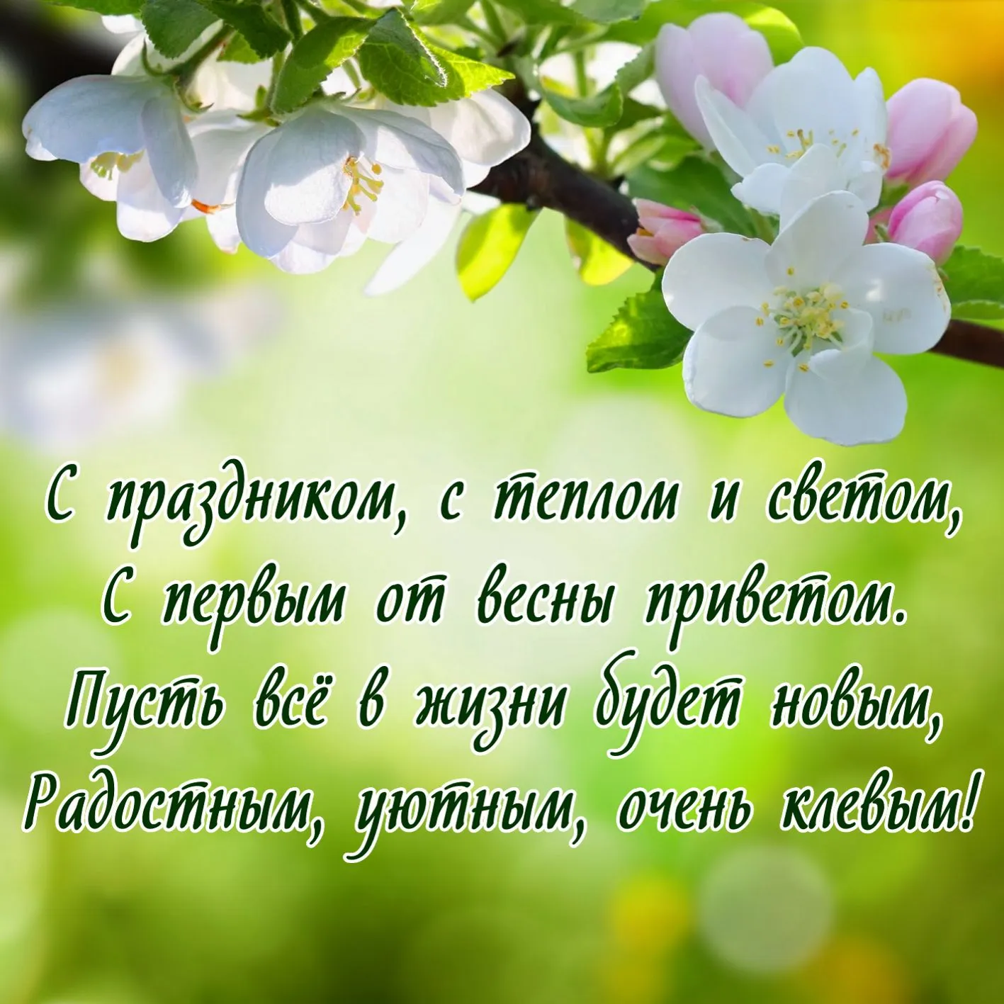 Открытка Первый день весны - Цветущая вишня: Весенняя открытка с нежностью | Красивая открытка #201