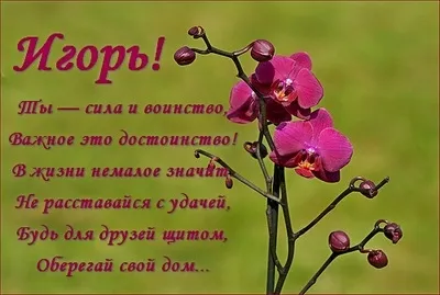 Открытка открытки с именем Игорь - Открытка с розовыми орхидеями | Красивая открытка #61