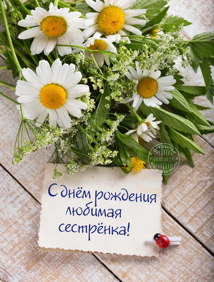 Открытка С днем рождения для сестры - Поздравительная открытка с ромашками | Красивая открытка #28