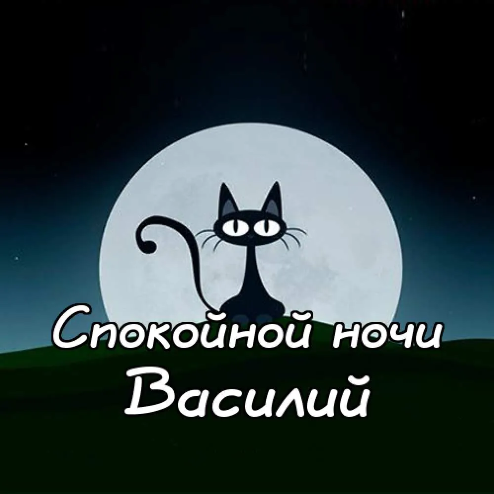 Открытка открытки с именем Василий - Открытка с чёрным котом на луне | Красивая открытка #63