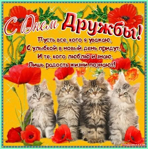 Открытка День дружбы - Открытка с котятами и маками  Поздравления с Днём рождения | Красивая открытка #14