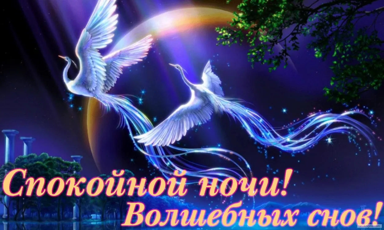 Открытка Доброй ночи - Белый аист на фоне заката: открытка с добрым вечером | Красивая открытка #46