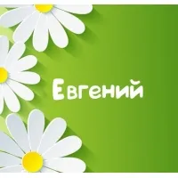 Открытка открытки с именем Евгений - Открытка с ромашками и надписью "Евгений" | Красивая открытка #274