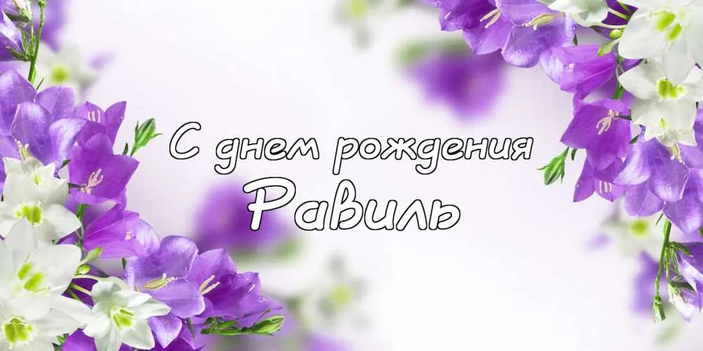 Открытка Открытки с именем Равиль - Открытка: Фиалки и надпись "С днем рождения" | Красивая открытка #101