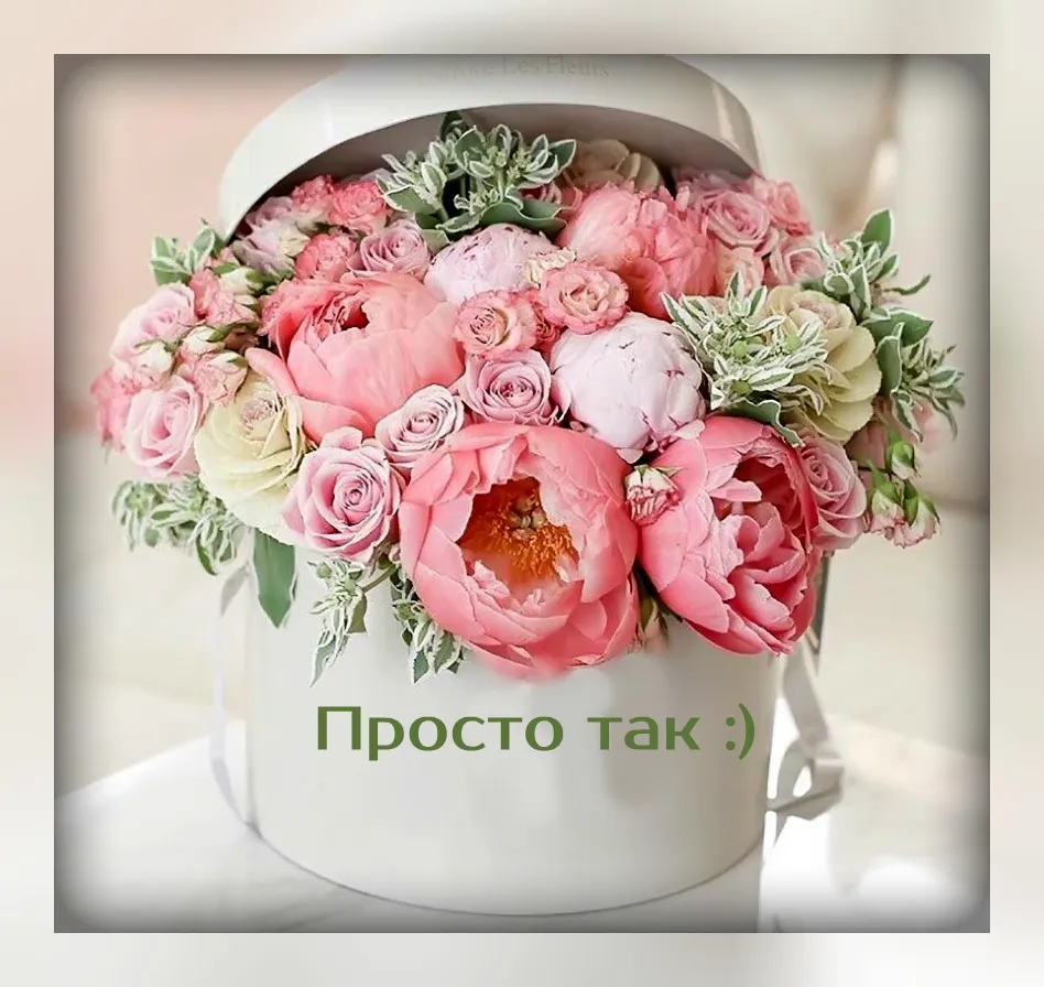 Открытка Просто так - Букет из розовых роз и зелени в белой коробке | Красивая открытка #42