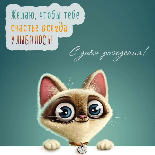 Открытка С кошками - Игривая кошечка: открытка с милым котенком | Красивая открытка #3