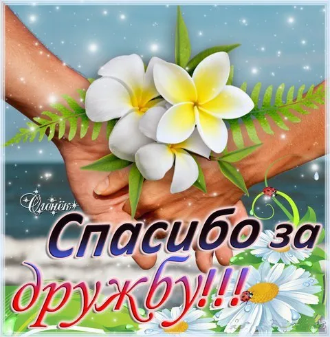 Открытка Открытки о дружбе - Открытка с цветами: белые цветы на фоне моря | Красивая открытка #87