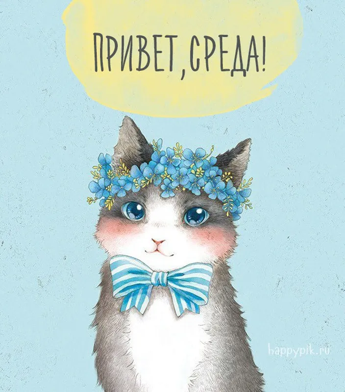 Открытка Среда - Милый кот в цветах: открытка с поздравлением | Красивая открытка #63