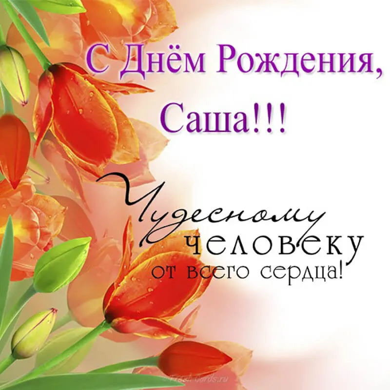Открытка открытки с именем Александр - Открытка с цветами: С Днем Рождения! | Красивая открытка #93