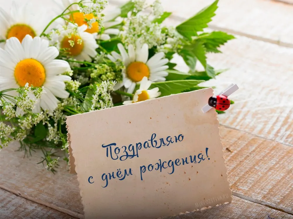 Открытка С днём рождения разное - Открытка с ромашками и божьей коровкой | Красивая открытка #32