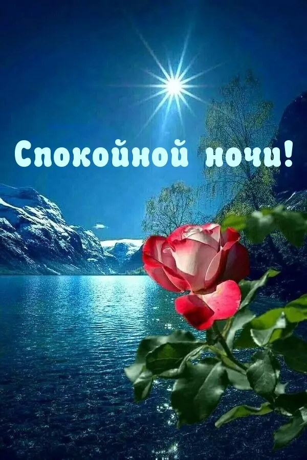 Открытка Доброй ночи - Открытка: Роза на фоне озера и ночного неба | Красивая открытка #22