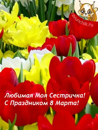Открытка 8 марта - Открытка: Красные и желтые тюльпаны | Красивая открытка #448