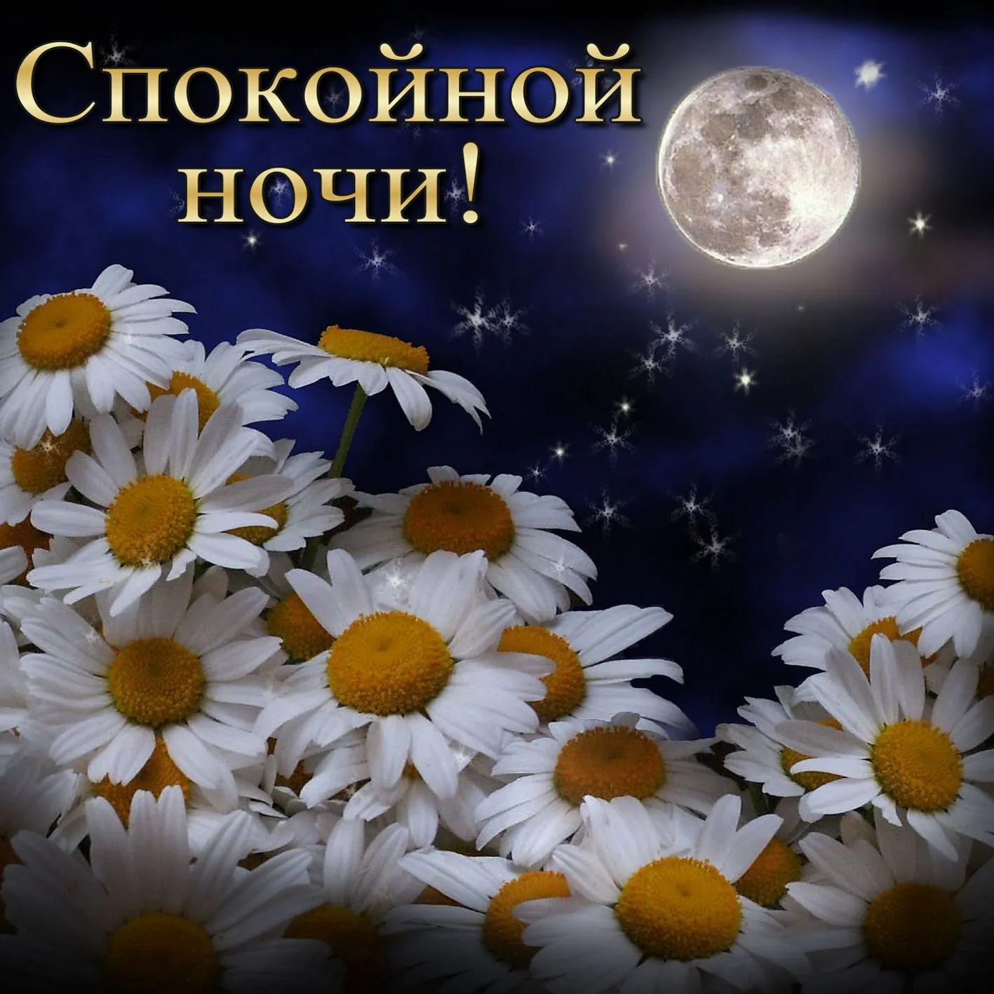 Открытка Спокойной ночи - Полевые цветы на лунной ночи  открытка | Красивая открытка #100