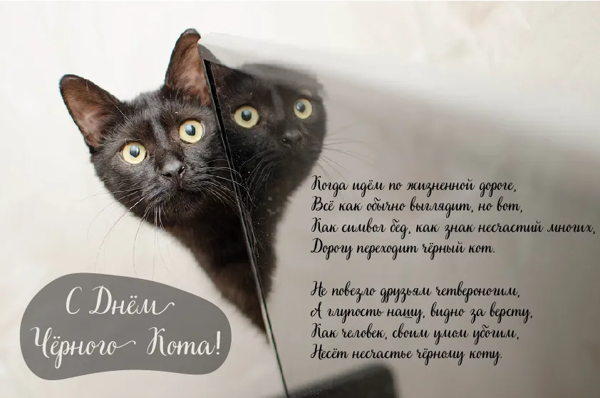 Открытка День черного кота - С Днём Чёрного Кота! Открытка с котом | Красивая открытка #28