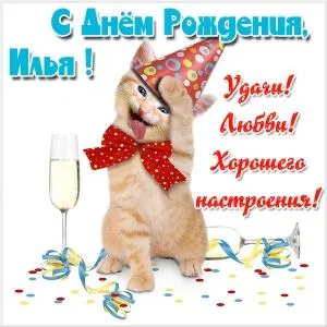 Открытка Открытки с именем Илья - Котенок с шариками и бокалом игристого | Красивая открытка #153