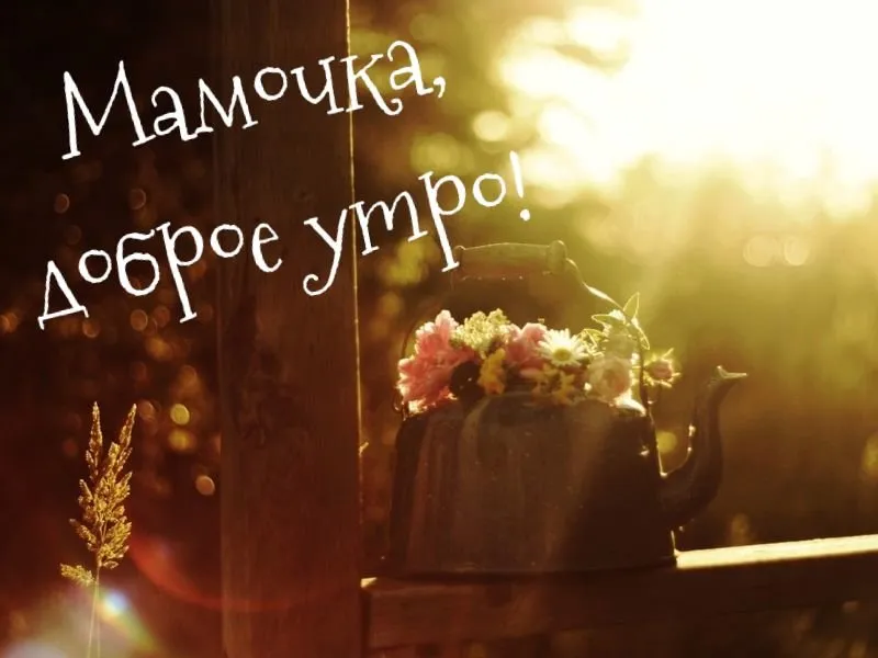 Открытка Доброе утро - Чайник с цветами на фоне солнца | Красивая открытка #228