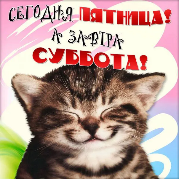 Открытка Пятница - Открытка с котенком: милые поздравления | Красивая открытка #4