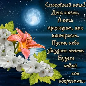 Открытка Спокойной ночи - Лилии и ночное небо: открытка с цветами | Красивая открытка #12