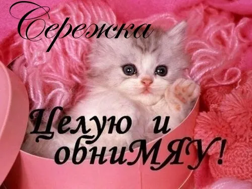 Открытка Открытки с именем Сергей - Милый котенок в розовых объятиях | Красивая открытка #188