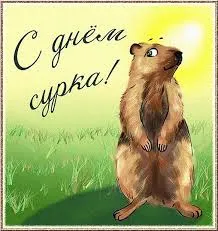 Открытка Открытки с днем сурка - Открытка с сурком: милая картинка на травке | Красивая открытка #9