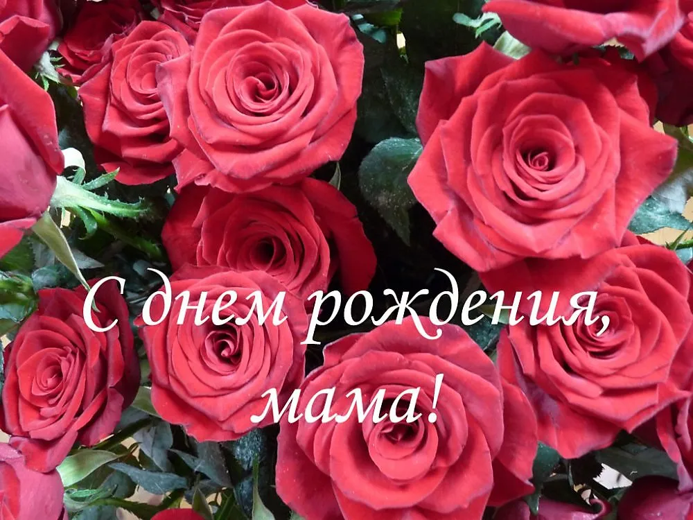 Открытка С Днем Рождения мамочке! - С Днем Рождения: Красивые красные розы | Красивая открытка #30