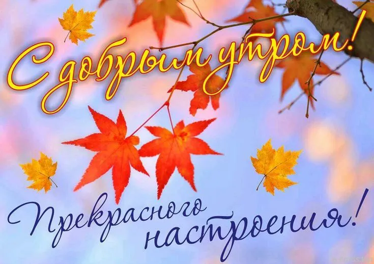 Открытка Открытки с добрым осенним утром - С покраснениями | Красивая открытка #35
