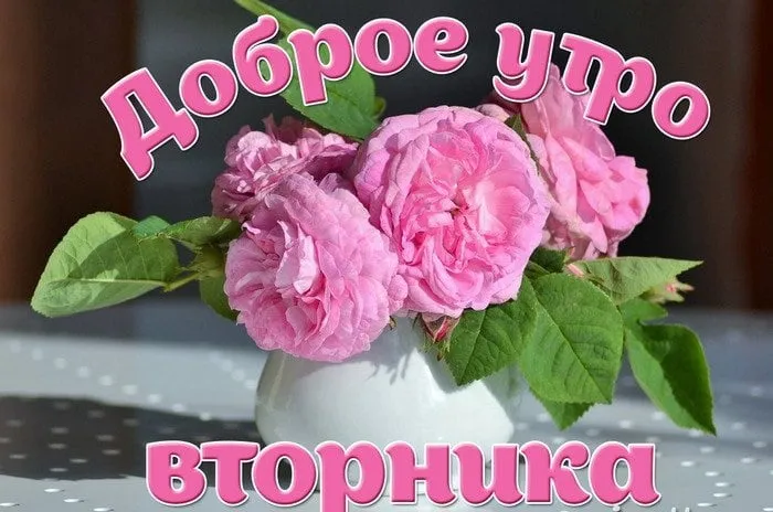 Открытка Открытки на вторник - Букет роз в вазе: нежная открытка с цветами | Красивая открытка #100