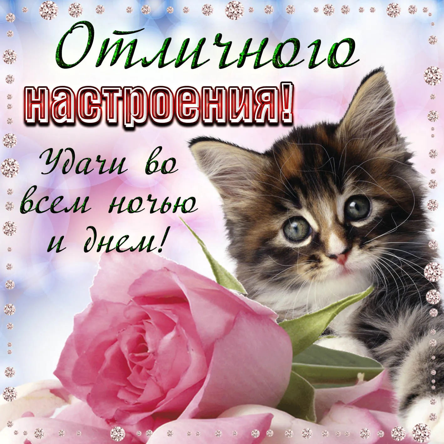 Открытка хорошего настроения - Котенок и роза: Нежная открытка с милым котиком | Красивая открытка #109