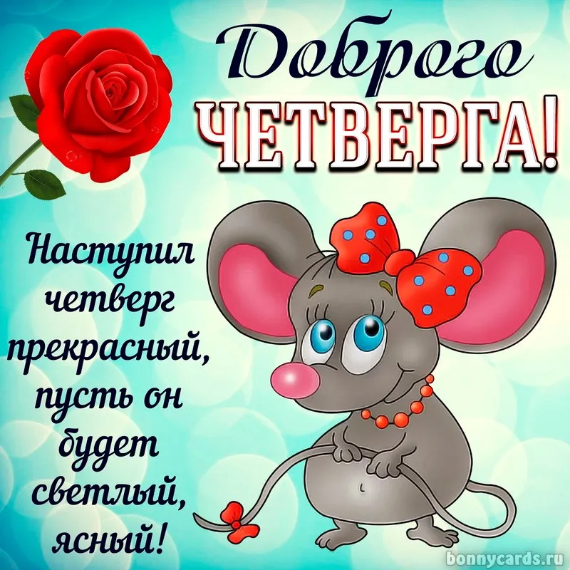Открытка Доброе утро четверг - Милый кролик с розой: открытка с поздравлением  Bonnycards | Красивая открытка #24
