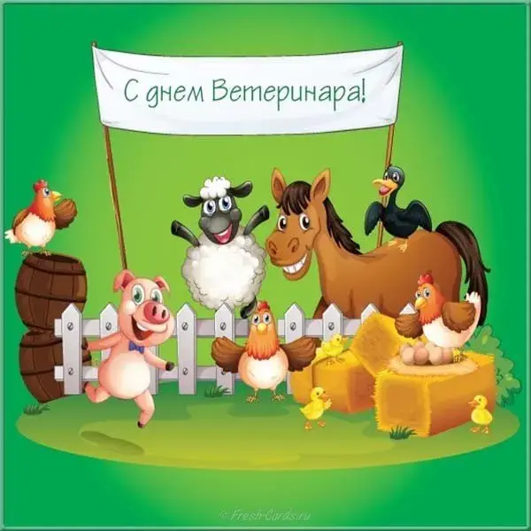 Открытка Открытки с днем ветеринара - Открытка с животными: свиньи, лошадь, курица, цыплята | Красивая открытка #21