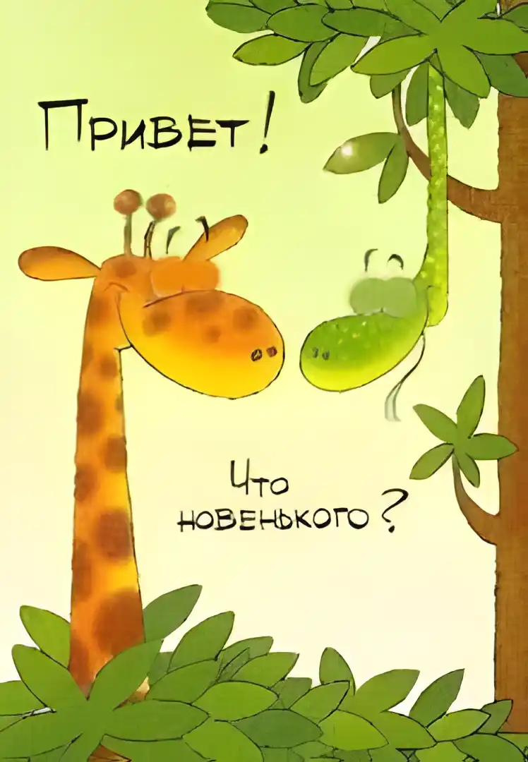 Открытка Открытки с приветствиями  - Открытка с зеброй и змейкой. | Красивая открытка #132