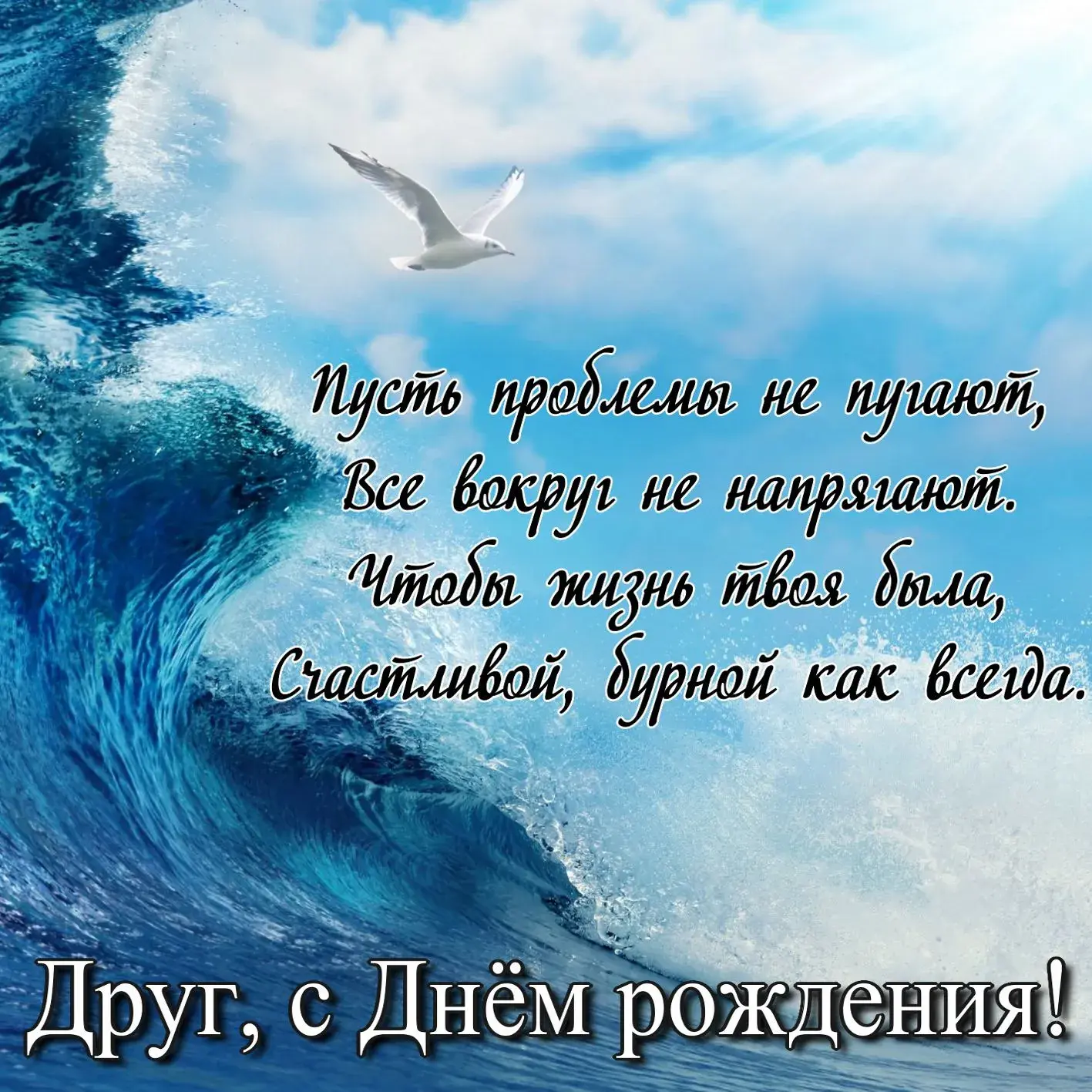Открытка С днем рождения для друга - Открытка с днем рождения: море и птица | Красивая открытка #2