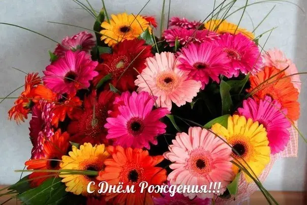 Открытка С герберами - Букет гербер: яркая открытка с Днем рождения | Красивая открытка #2