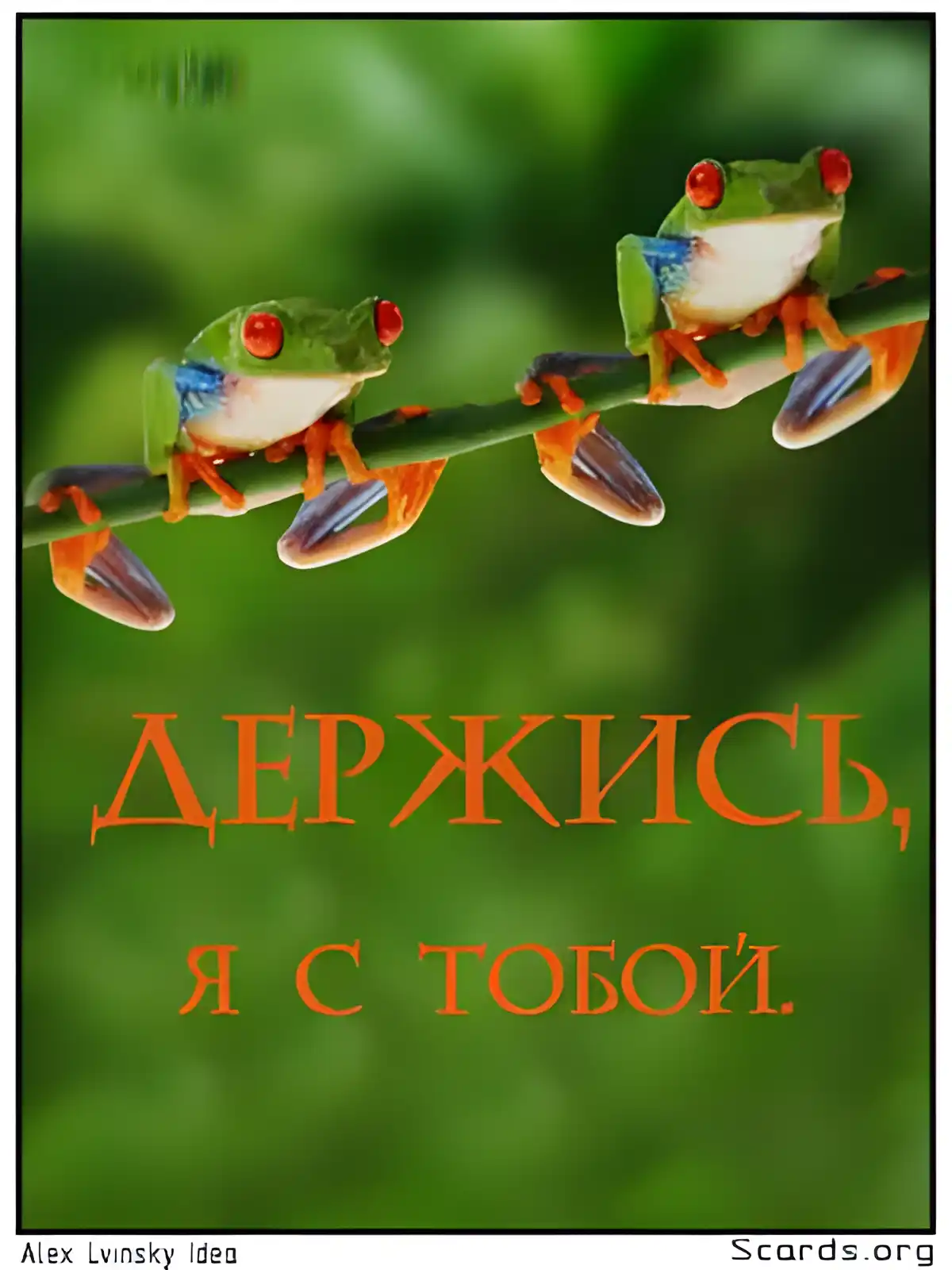 Открытка Я рядом - Две лягушки на ветке: открытка с поздравлением | Красивая открытка #93