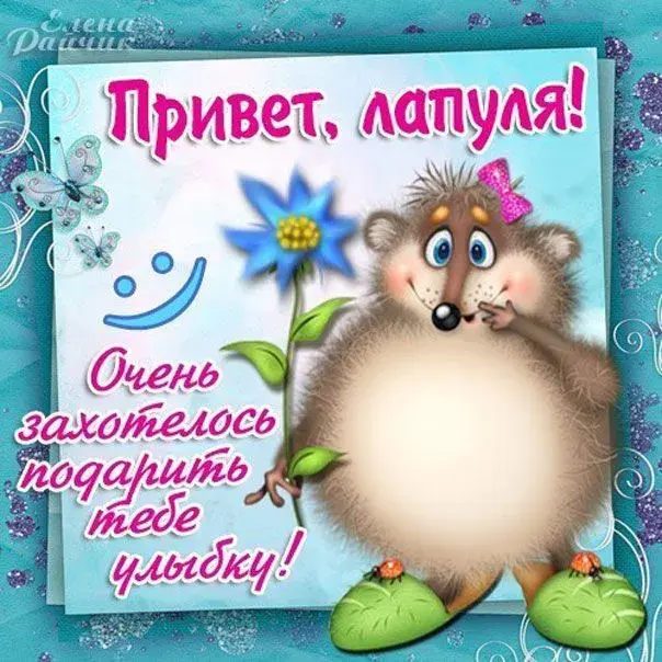 Открытка Привет - Открытка с ёжиком и цветами | Красивая открытка #48