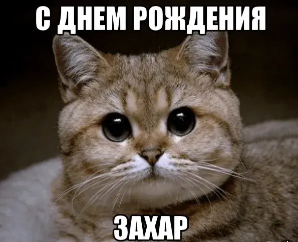 Открытка открытки с именем Захар - Открытка с котом: С Днем Рождения! | Красивая открытка #142