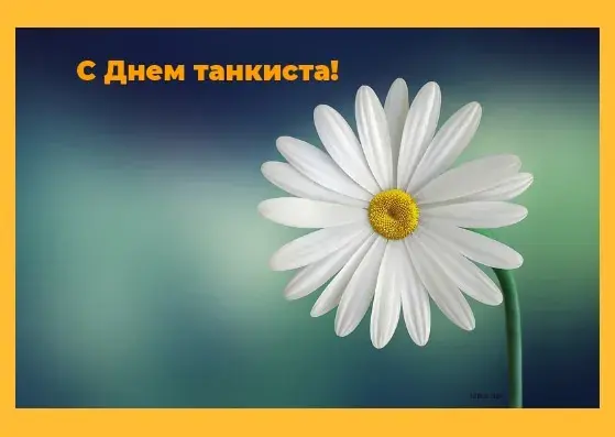 Открытка С днем танкиста - Открытка с ромашкой: нежный букет цветов | Красивая открытка #56