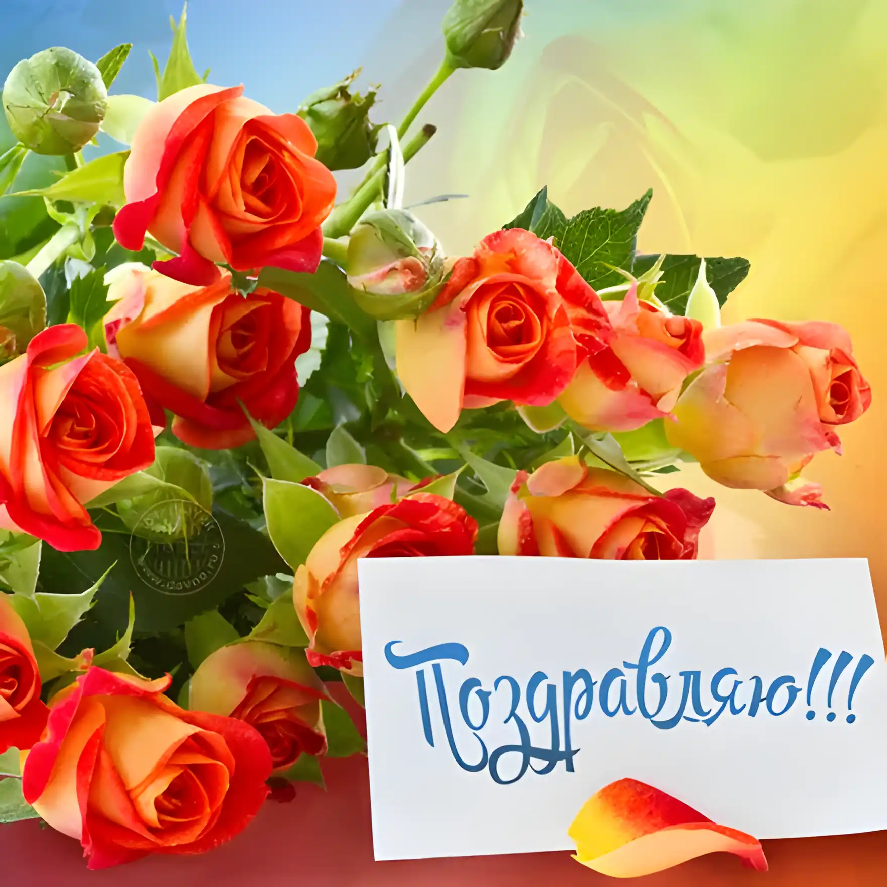 Открытка Поздравляю - Поздравительная открытка с розами | Красивая открытка #12