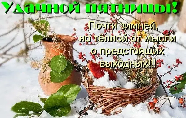 Открытка Удачной пятницы - Зимняя открытка: рябина на снегу | Красивая открытка #1