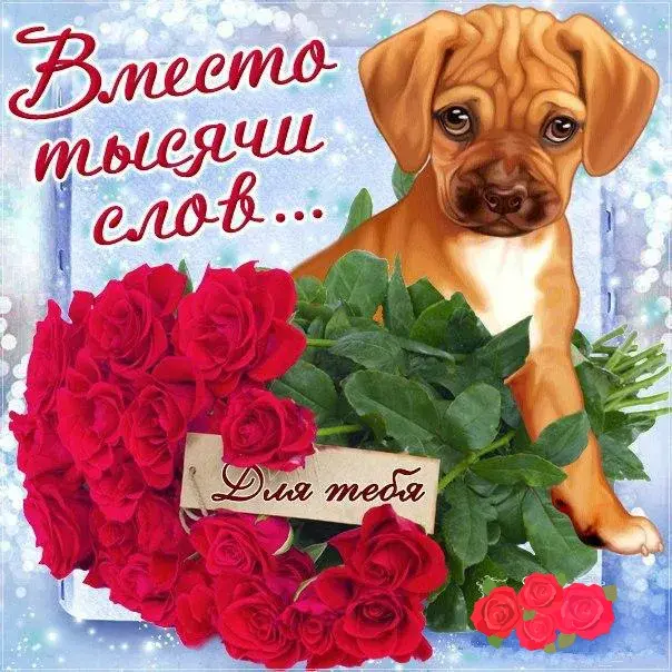 Открытка Вместо 1000 слов - Открытка с щенком и розами | Красивая открытка #1