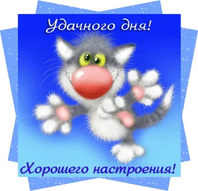 Открытка Счастливого пути - Забавная кошка - открытка с днем рождения | Красивая открытка #14