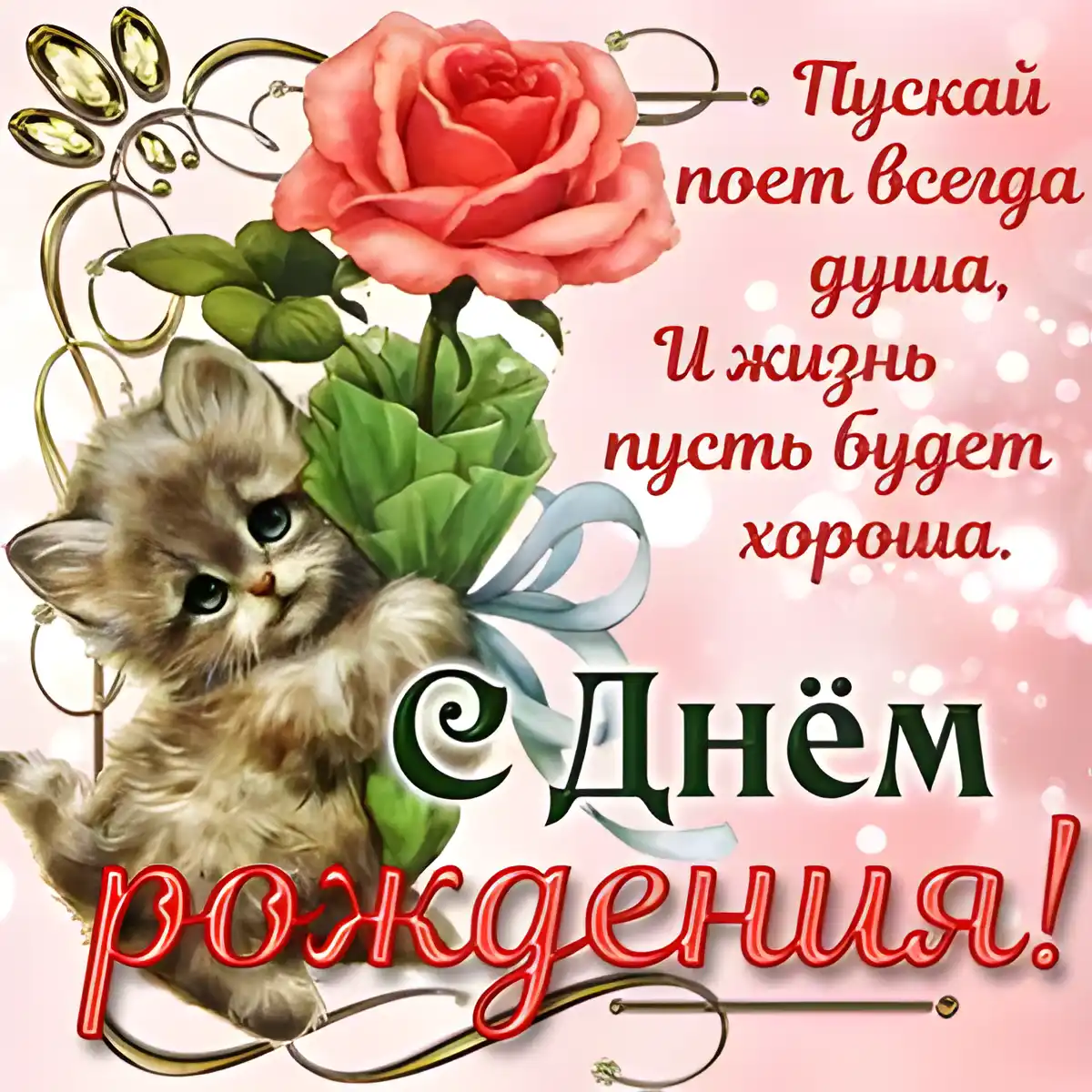 Открытка С днем рождения учитель - Открытка с котенком и розами  поздравления с Днем рождения | Красивая открытка #2