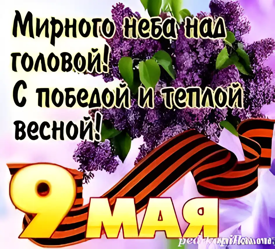 Открытка 9 мая - 9 мая: открытка с лентой и сиренью | Красивая открытка #115