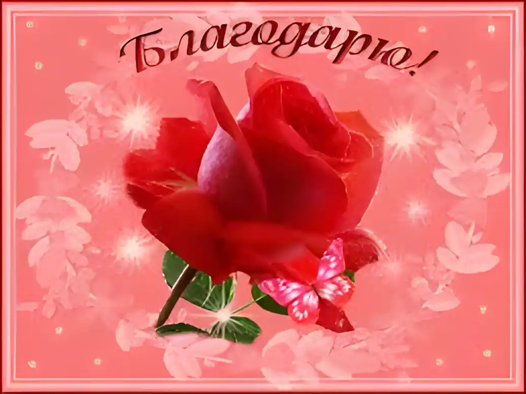 Открытка Благодарность - Открытка с красной розой и бабочкой | Красивая открытка #229