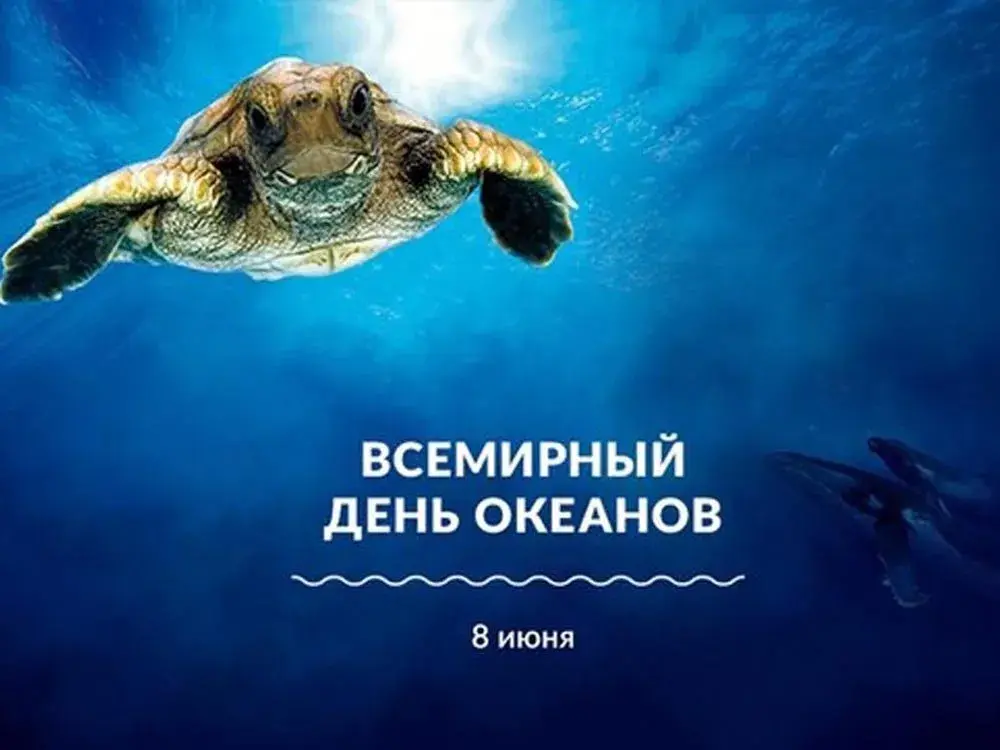 Открытка Всемирный день океанов - День Океана: открытка с черепахой и китом | Красивая открытка #4