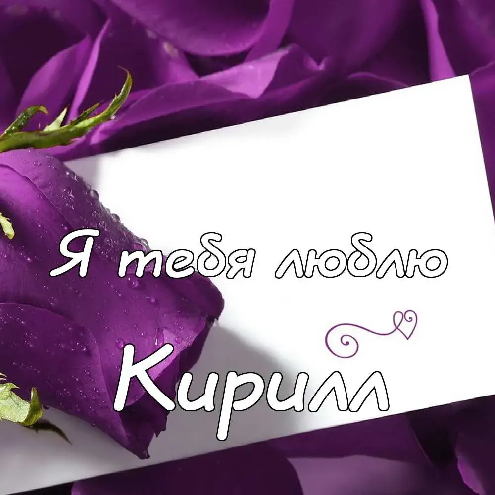 Открытка Открытки с именем Кирилл  - Фиолетовые розы на открытке: поздравительная открытка | Красивая открытка #94